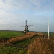 houtwormbestrijding-molen-roodkerk